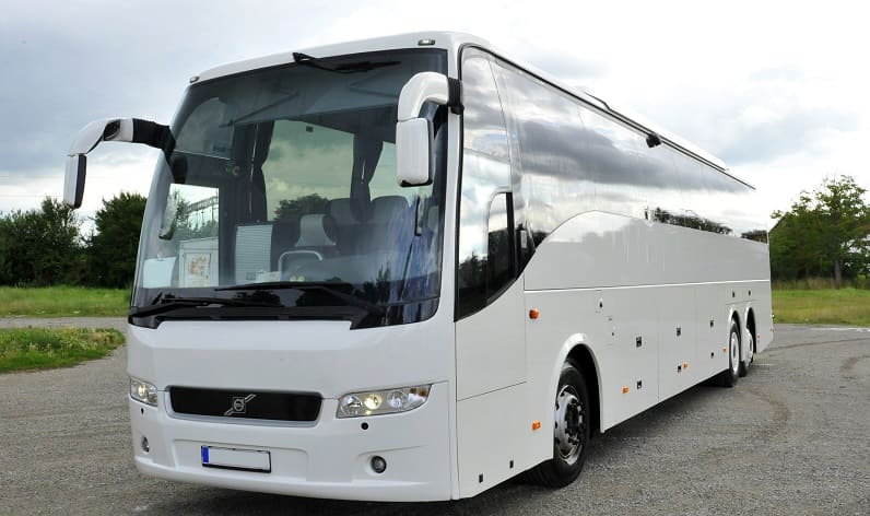 Sicily: Buses agency in Ragusa in Ragusa and Italy