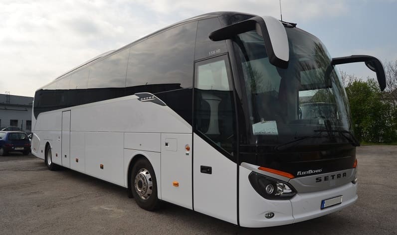 Malta region: Buses company in Msida in Msida and Malta